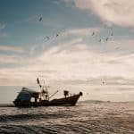Island hopping adventures by private boat