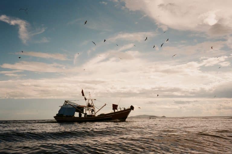 Island hopping adventures by private boat