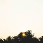 Sunrise yoga retreats in tropical settings