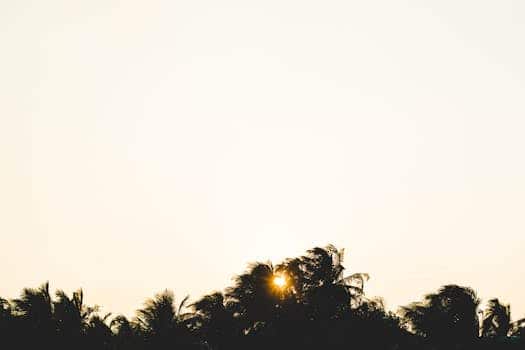 Sunrise yoga retreats in tropical settings