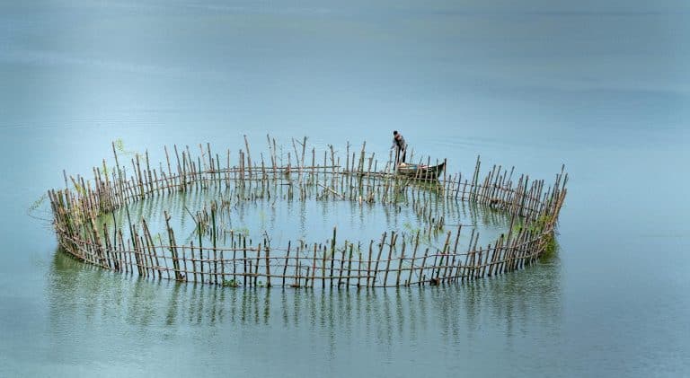 Magnetic Levitation Cars: Floating Above Traditional Roads