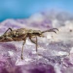 Outdoor kitchens perfect for summer entertaining