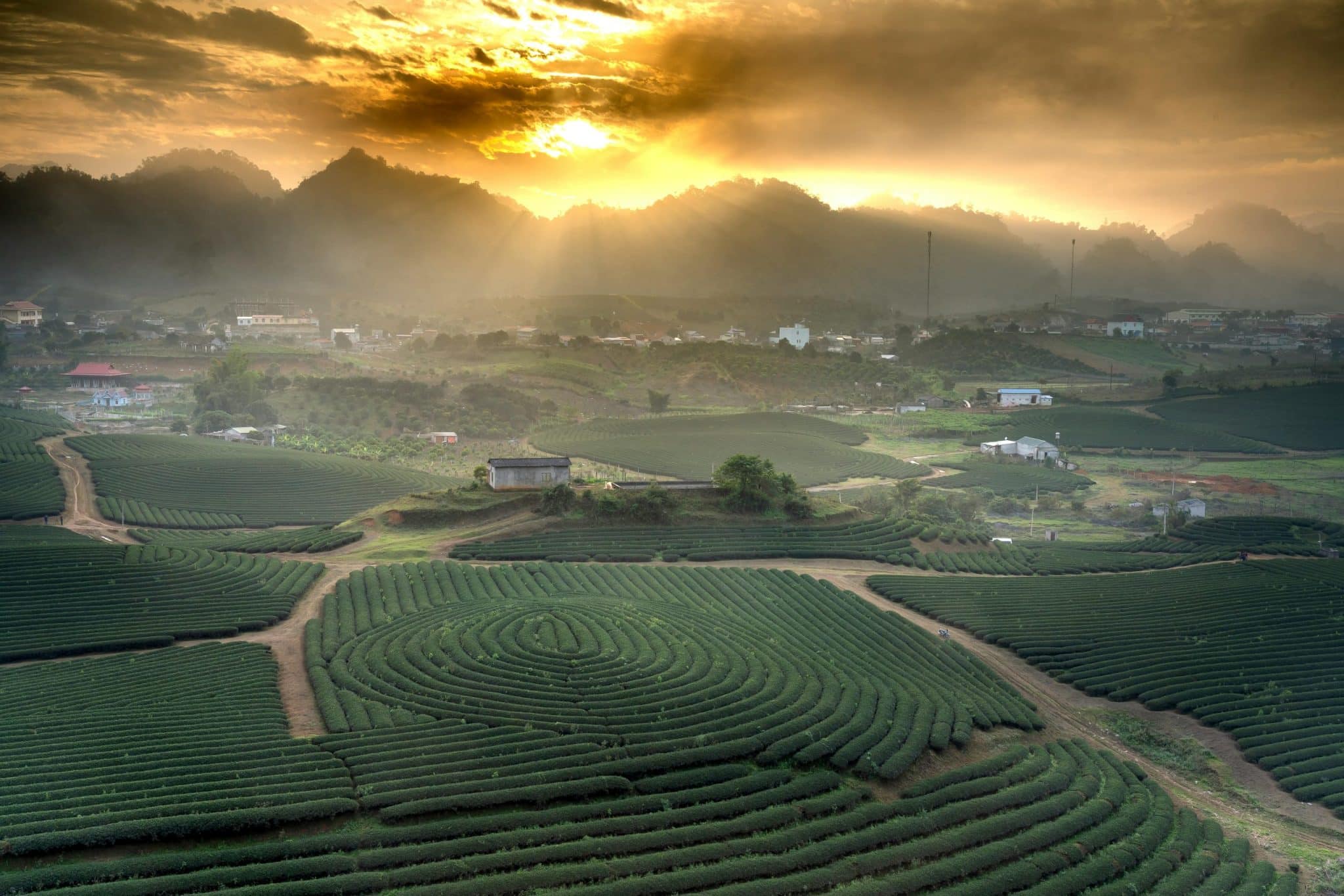 Village markets that come alive at dawn