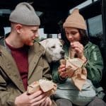 Pet Feeders That Schedule Meals Automatically