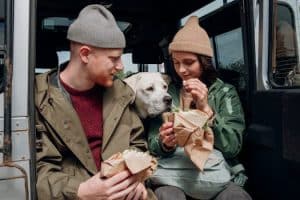 Pet Feeders That Schedule Meals Automatically