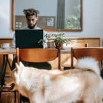 Pet amenities influencing apartment choices