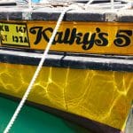 Island expeditions with marine biologists