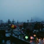 Seasonal Affective Solutions Help Thrive During Dark Months