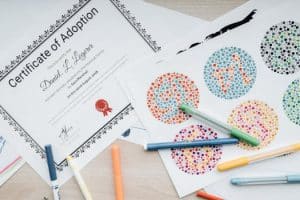 Home Organization Psychology Shows How Clutter Affects Mind