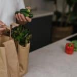 Food Waste Crisis: How Home Cooks Can Save Planet