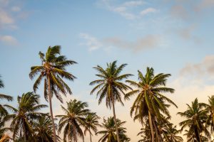 Personal Cooling Devices for Hot Summer Days