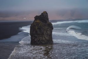 Sustainable Seafood Choices for Ocean-Friendly Eating
